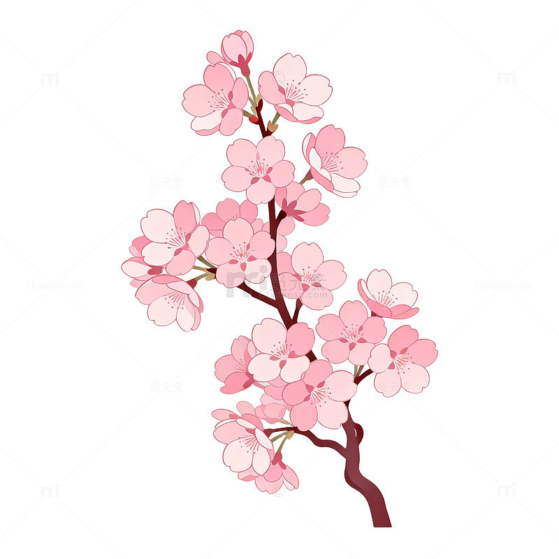 粉色樱花插画设计素材
