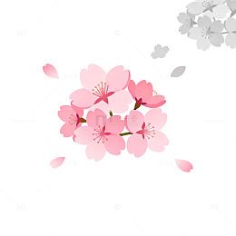 简约樱花插画设计元素