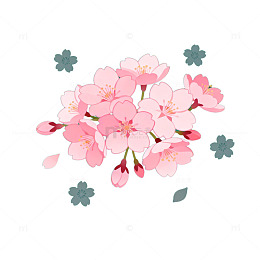 樱花插画绿色背景