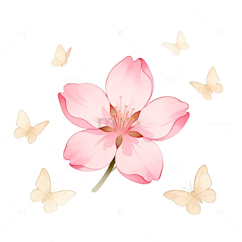 水彩樱花蝴蝶插画设计素材