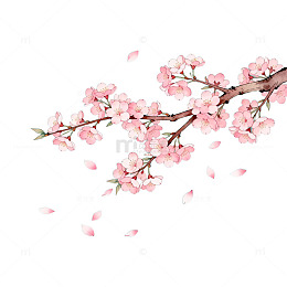 樱花水墨画风格插画