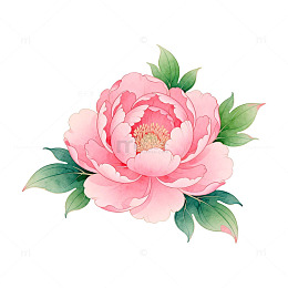 粉色牡丹花插画设计元素