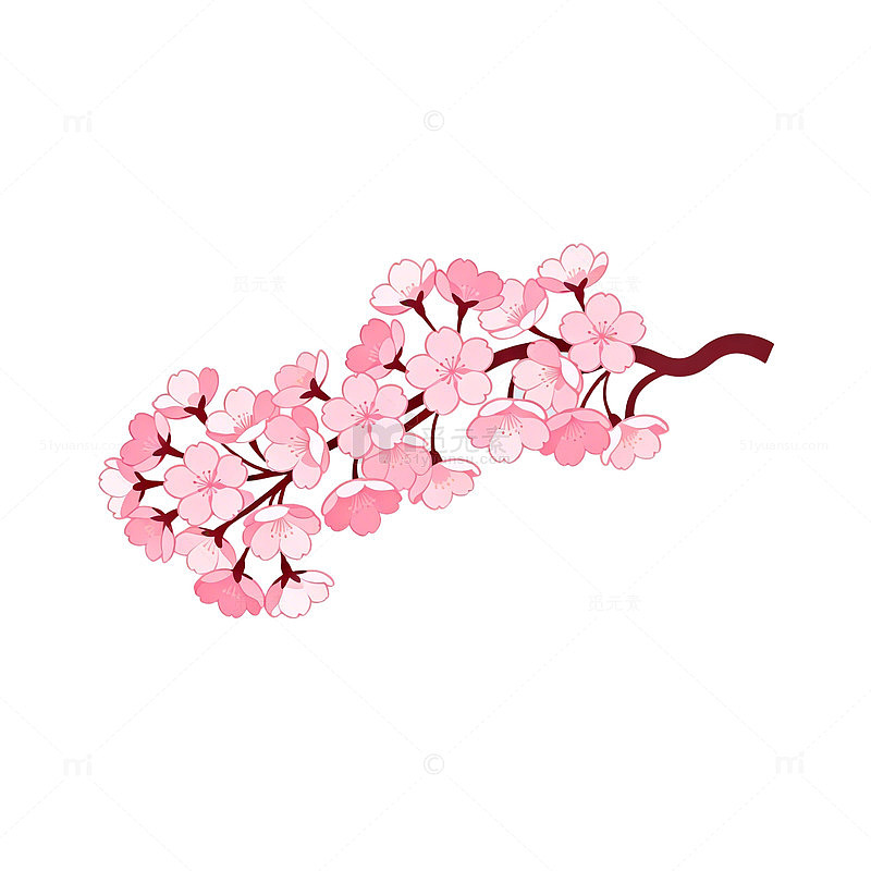 樱花枝条粉色插画