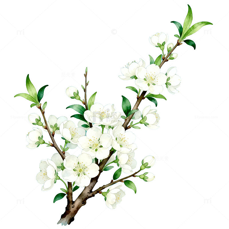 AI生成白花树枝插画
