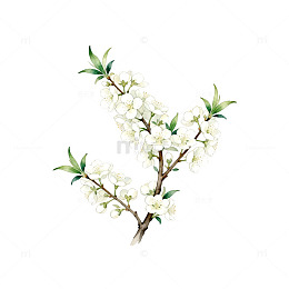 水彩樱花插画素材