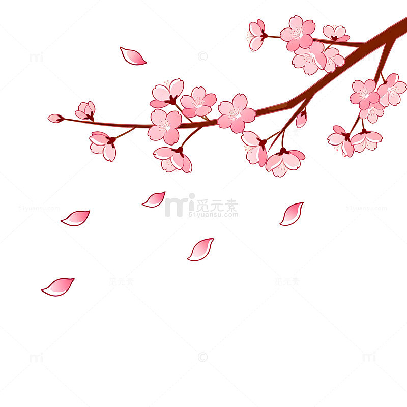 樱花树枝插画设计素材
