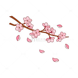 插画樱花枝条花瓣