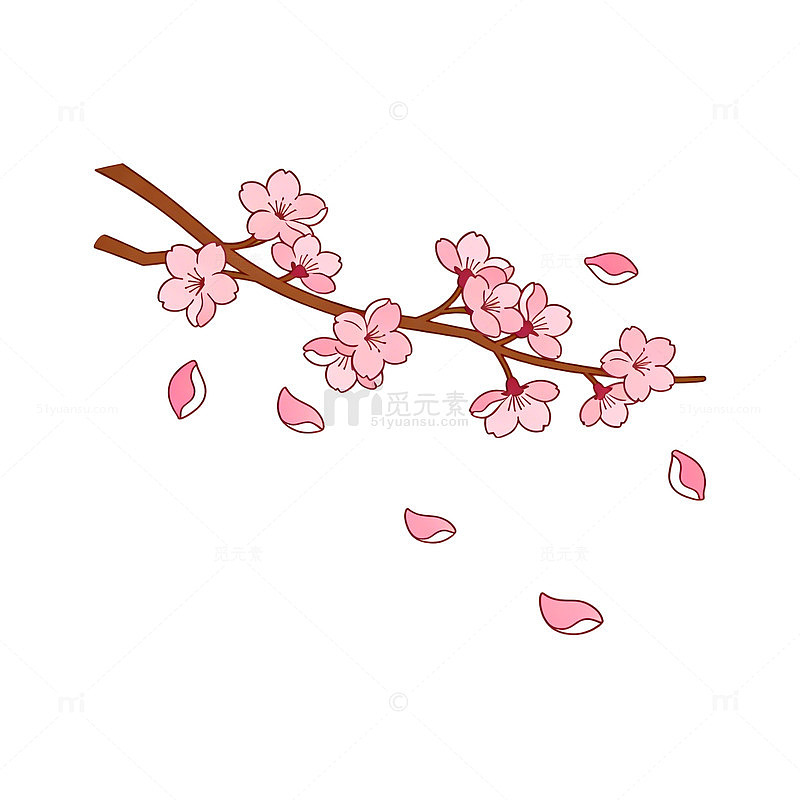 插画樱花枝条花瓣