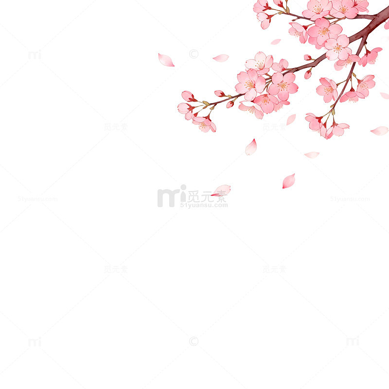 樱花飘落浪漫背景插画