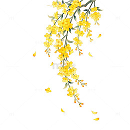 水彩黄色花卉插画