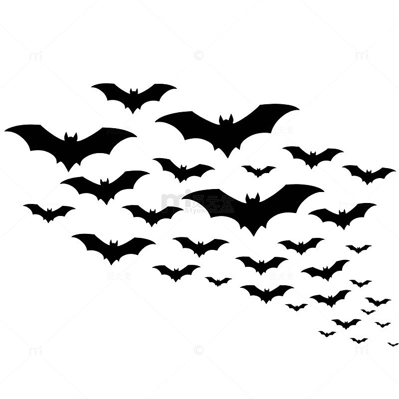 黑白蝙蝠群飞剪影