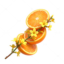 清新橙片花卉装饰