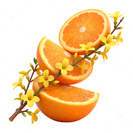 橙子与花朵创意组合设计