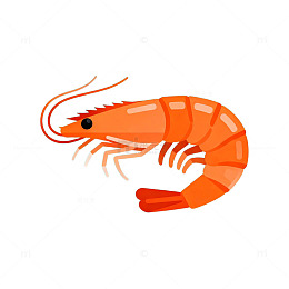 卡通虾矢量图设计素材