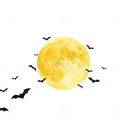 月夜蝙蝠插画