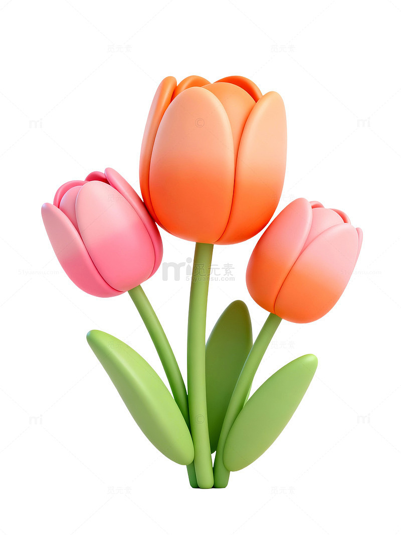 卡通郁金香插画48