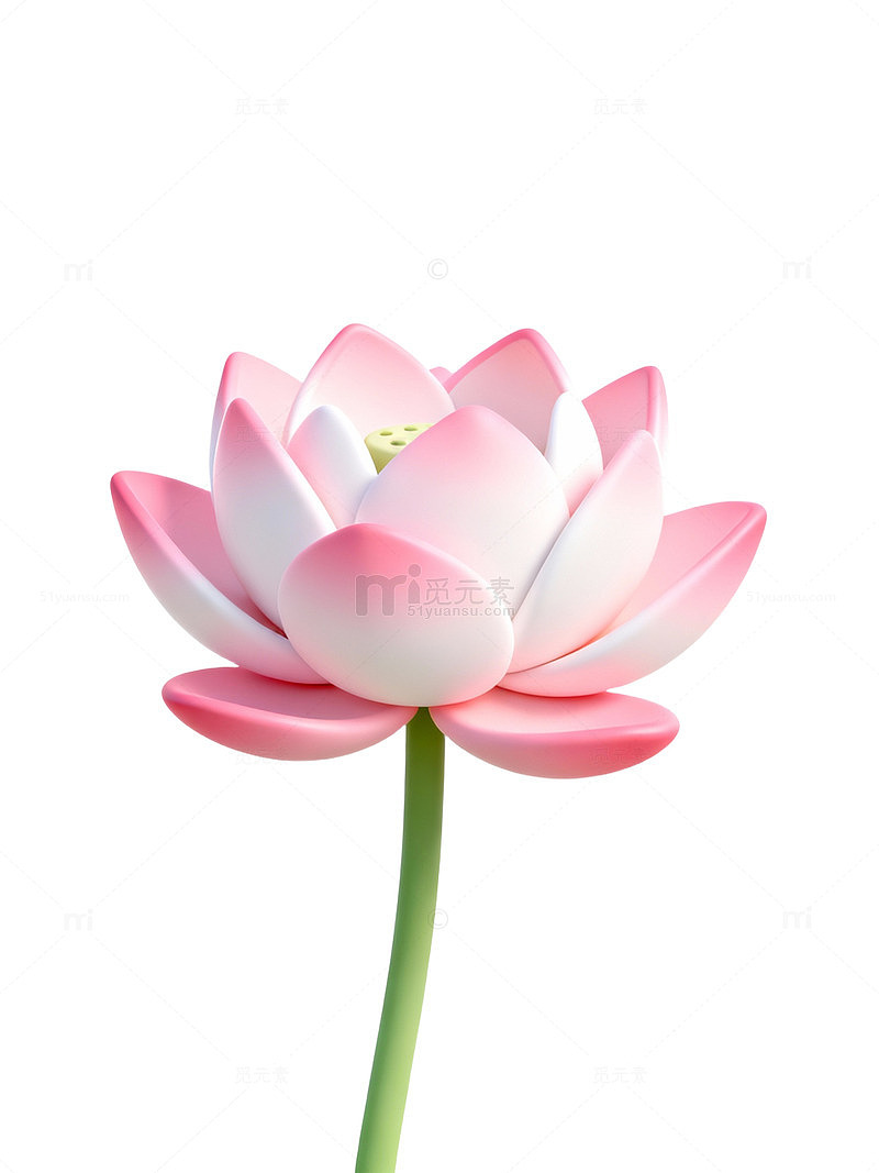 粉色莲花高清图36