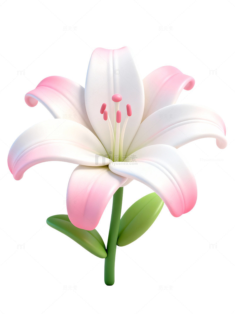 粉色百合花插画91