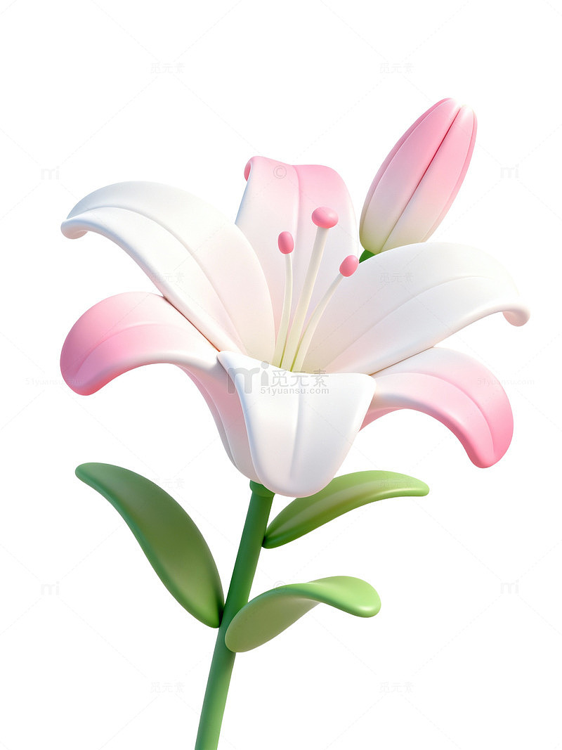 粉色百合花插画02