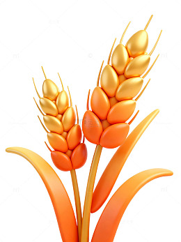 金色麦穗插画素材06