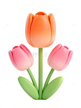 卡通郁金香插画22