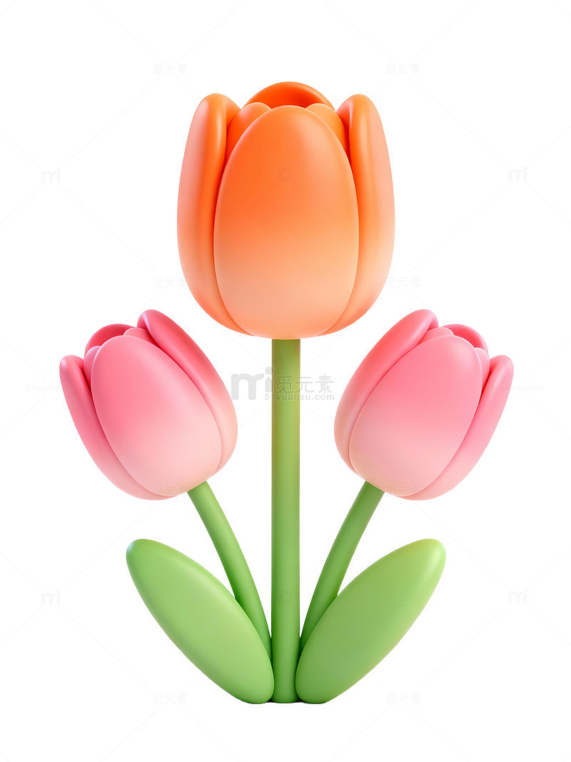 卡通郁金香插画22