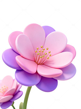 粉色紫色花朵特写77