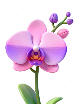 梦幻蝴蝶兰插画44