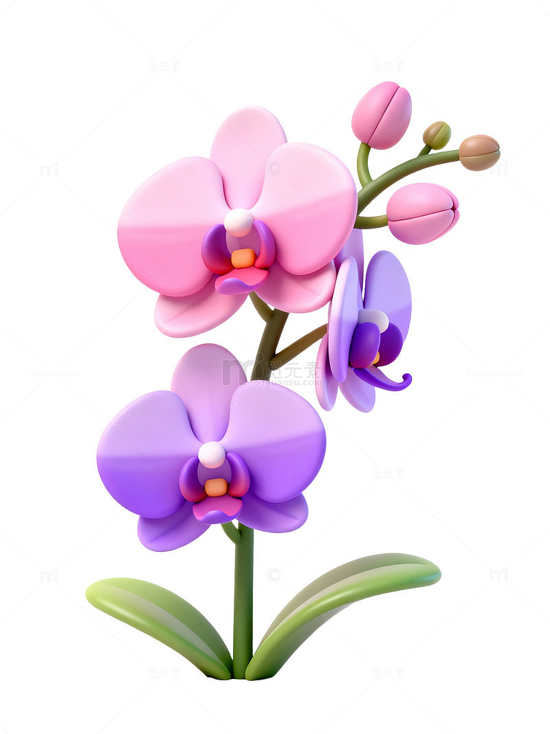 卡通兰花插画05