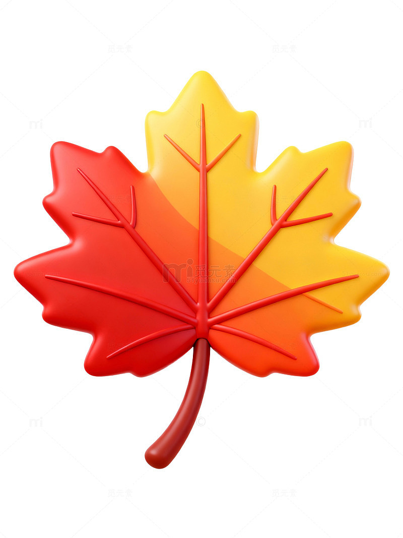 红黄渐变枫叶71