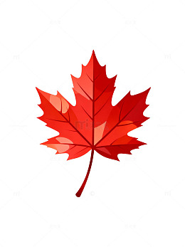 红色枫叶矢量图28
