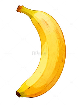 手绘香蕉插画44