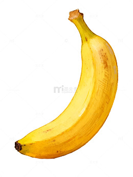 手绘香蕉艺术插画58