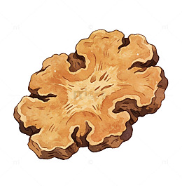 手绘风格中药药材川芎片插画素材