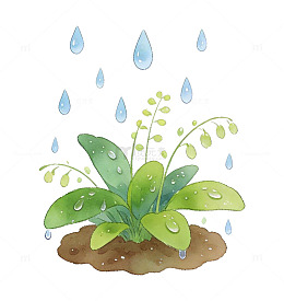 水彩植物生长降雨插画