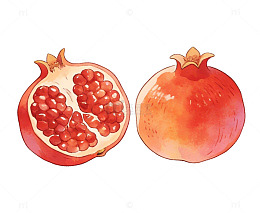 水彩石榴水果插画