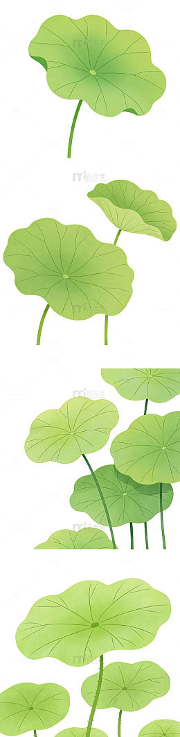 清新立夏荷叶元素扁平插画简约治愈