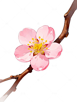 粉色梅花手绘插画85