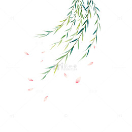 柳枝飘落花瓣水墨画