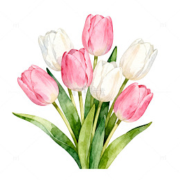 水彩郁金香花卉装饰图案