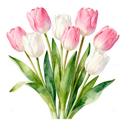 水彩郁金香花卉插画素材