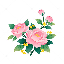 粉色牡丹插画设计素材