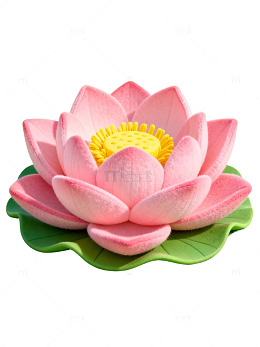 粉色莲花静物图06