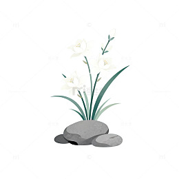 AI绘制白色花卉石头插画
