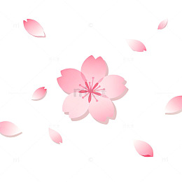 樱花飘落春天背景图