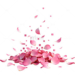 浪漫花瓣飞舞设计素材