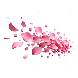 粉色花瓣飞舞图案设计元素