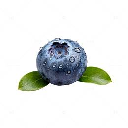 透明背景蓝莓水果设计素材