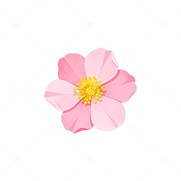 AI生成粉红花背景图