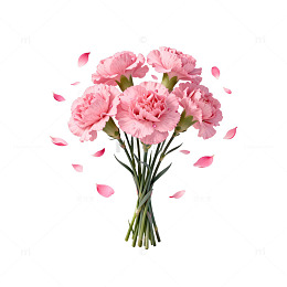 粉色康乃馨花束唯美插画